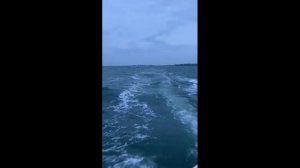 Рыбалка в Нидерландах. Ловля Вейтинга. Рыбалка в Северном море.