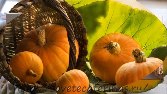 Тыква, разнообразие видов смотреть онлайн