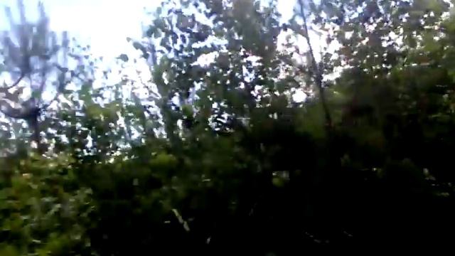Расцветают Цветы