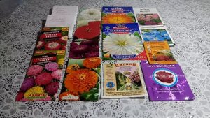 Астры, циннии, клеома, ипомея, подкормки цирконом, бордюр для клумбы