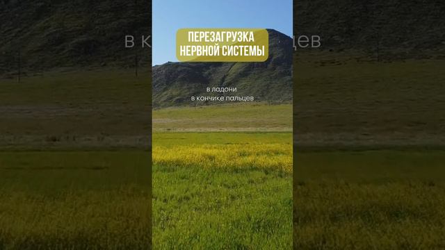 Мгновенная перезагрузка нервной системы: Аутотренинг для глубокого расслабления #перезагрузка