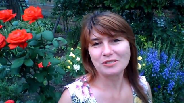 Все без измений П РИШЛА ЗАРПЛАТА смотреть онлайн