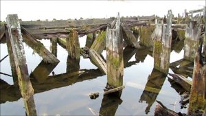 (18) Баржа. Город Кириллов. Осень 2013 год.