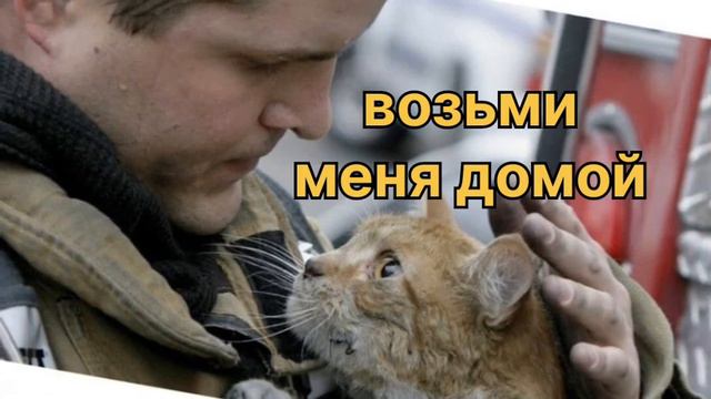"Возьми меня домой" #стихисосмыслом #трогательныестихи #современнаяпоэзия