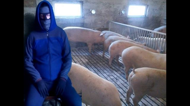 ЧЕСТНЫЙ ОТЗЫВ О РАБОТЕ ОПЕРАТОРОМ СВИНОВОДЧЕСКИХ КОМПЛЕКСОВ.ДМИТРОВА ГОРА.АГРОПРОМКОМПЛЕКТАЦИЯ.2020