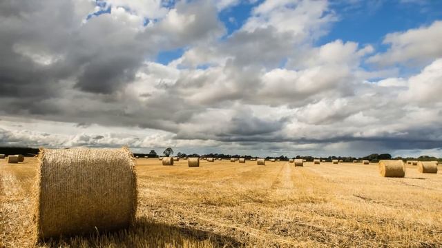Вот это поворот! конкуренты России ошеломительно быстро теряют свои урожаи зерна
