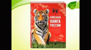 Красная книга