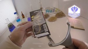 Томат Падишах. Ваше хозяйство