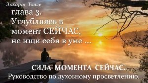 Экхарт Толле  СИЛА  МОМЕНТА  СЕЙЧАС. .. Аудиокнига.
