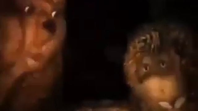 Ёжик в тумане 18+ (осторожно, нецензурная лексика) смотреть онлайн