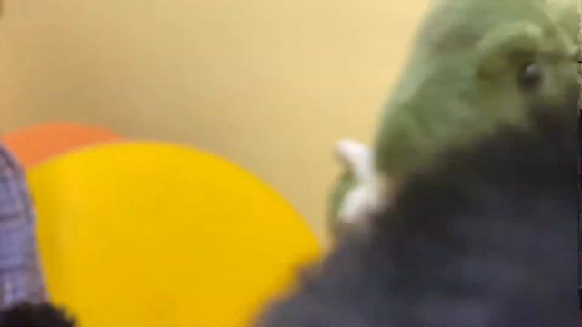 волшебная ПЕСЕНКА для запуска речи смотреть онлайн