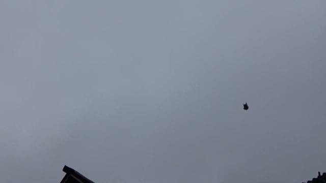 голуби 29.11.21г. смотреть онлайн