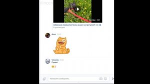 Как узнать, что собеседник "ВКонтакте" прочитал сообщение