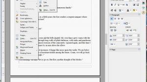 Adding Page Numbers in Open Office