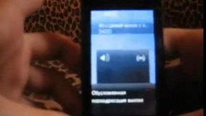 Китайский Sony Ericsson C5000