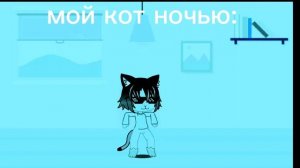 мой кот ночью.