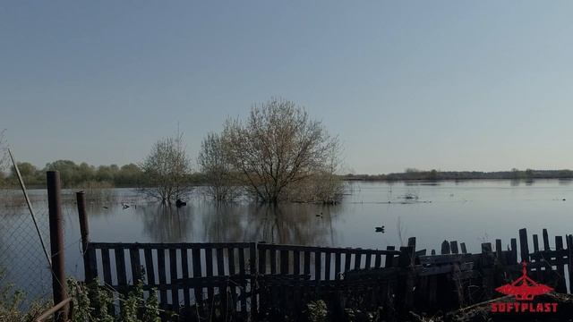 Чучела кряковой утки Softplast Alfa в работе | Весенняя охота на селезня 2023 смотреть онлайн