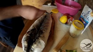 ЧЕРНОМОРСКИЙ ГОРБЫЛЬ, ЛОБАН НА УГЛЯХ! Жарим Черноморскую рыбку