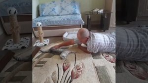 мой дом всегда, где ты