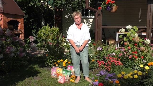 РОЗЫ В АВГУСТЕ И СЕНТЯБРЕ - ЭТО ВАЖНО ЗНАТЬ!!! смотреть онлайн