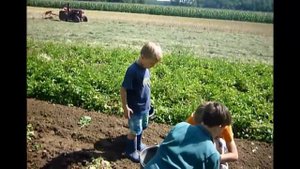 Kartoffeln ernten und sortieren Wühlmaus T3 und Amazone FO