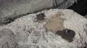 Сравнение Церезит vs Консолит