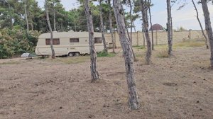 Кемпинг Старый лес. Караван, базовый лагерь.
