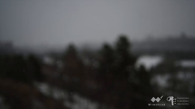 Robert Uchida | J.S. Bach - Partita No. 2 "Sarabande" BWV 1004 смотреть онлайн