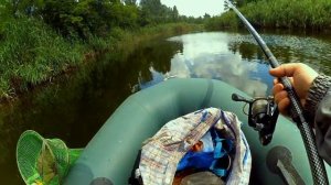 Плотва в проводку. Старый парк 01. 07. 2023 #рыбалка