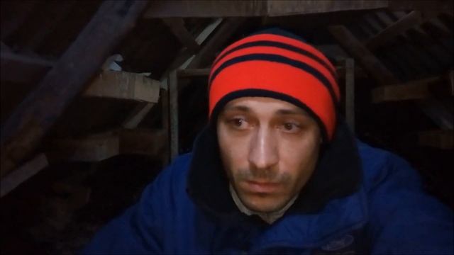 Голуби несут яйца зимой,что делать? Выживаемость птенцов зимой? Ответы на Вопросы в Комментариях.