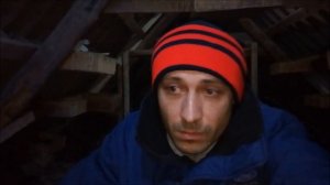 Голуби несут яйца зимой,что делать? Выживаемость птенцов зимой? Ответы на Вопросы в Комментариях.