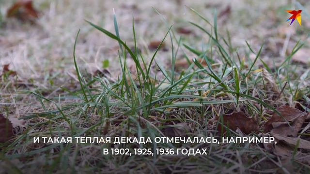 Зимы не будет? Объясняет климатолог
