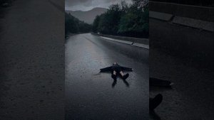 Ремикс пожалуйста будь моим смыслом