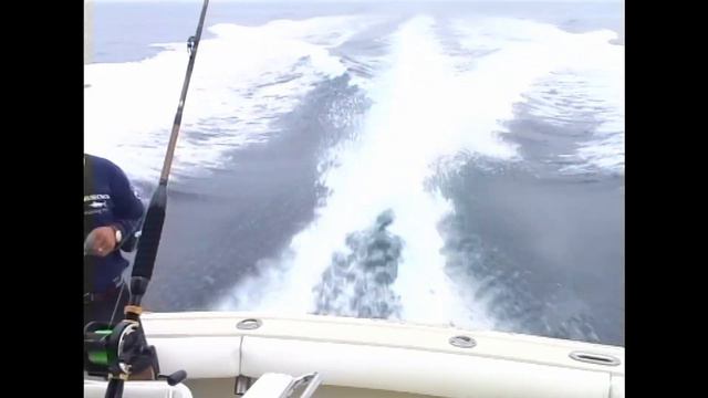 "Морские приключения в стране майя". Видеоприложение №26 часть 3 к журналу «Сафари» смотреть онлайн