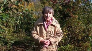 Земля.  Замена земли в теплице.