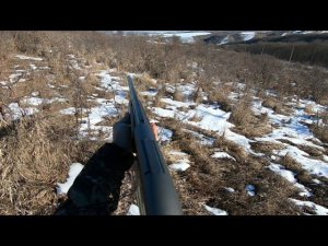 Охота в Кабардино-Балкарии.