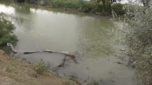 Делаю ЛОВУШКУ на СОМА- ставлю раколовку