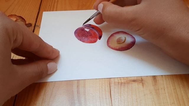 РИСУЕМ СЛИВЫ АКВАРЕЛЬЮ.  Уроки акварели для начинающих