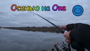 Обычная Рыбалка на Оке ! Морозное утро на Природе ! Ультралайт ! Легкий Джиг !