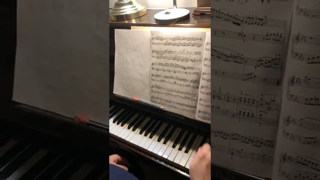 Beethoven Sonata op.13 Pathétique III- 1 Соната 8 Патетическая_ пульс, артикуляц.mp4