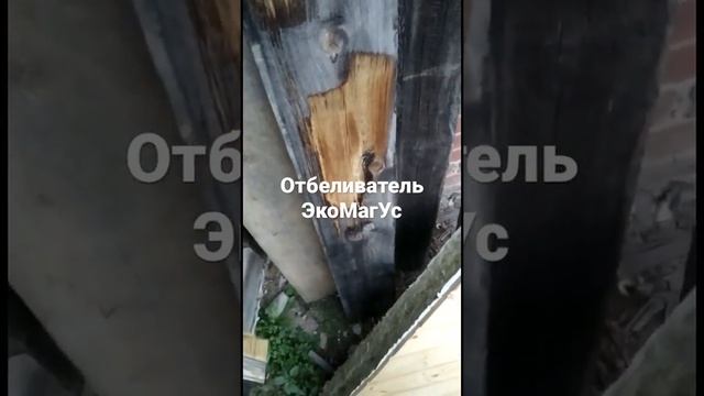 От клиента. Отбеливатель для древесины ЭкоМагУс