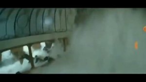 Lizer-корабли //клип