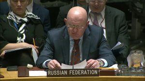 Statement by Amb. Vassily Nebenzia at a UNSC meeting on сountering terrorism and extremism in Africa