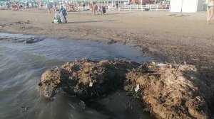 Проваленный сезон .Анапа больше не курорт. Анапа сегодня