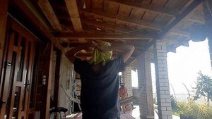 Как сделать бандану из обычной майки? (Первое видео)