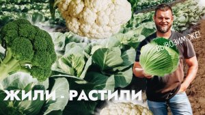 Жили - растили