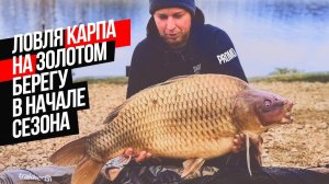 КАРПОВАЯ РЫБАЛКА на ВОДОЕМЕ ЗОЛОТОЙ БЕРЕГ! ⛺️ ОТКРЫТИЕ СЕЗОНА КАРПФИШИНГА 2022. PROMO