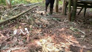 full video 120 days of building a farm alone . nvn's survival instinct