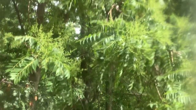 Николаев сегодня. 1 МИНУТУ НАЗАД! ВОДА ПОДНЯЛАСЬ ЕЩЁ ВЫШЕ?! Новости Николаева смотреть онлайн