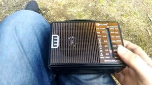 Golon  RX~608ACW  World  Receiver.